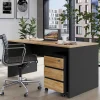 Bürotisch mit Rollcontainer Charin