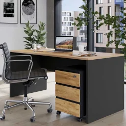 Bürotisch mit Rollcontainer Charin