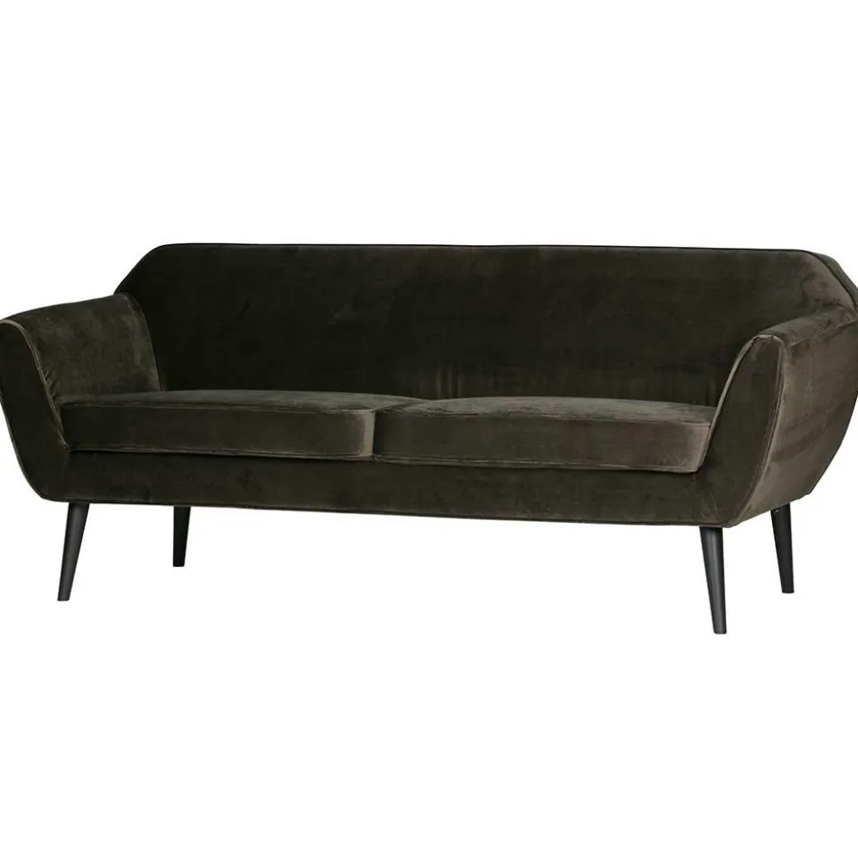 Couch Adamsa