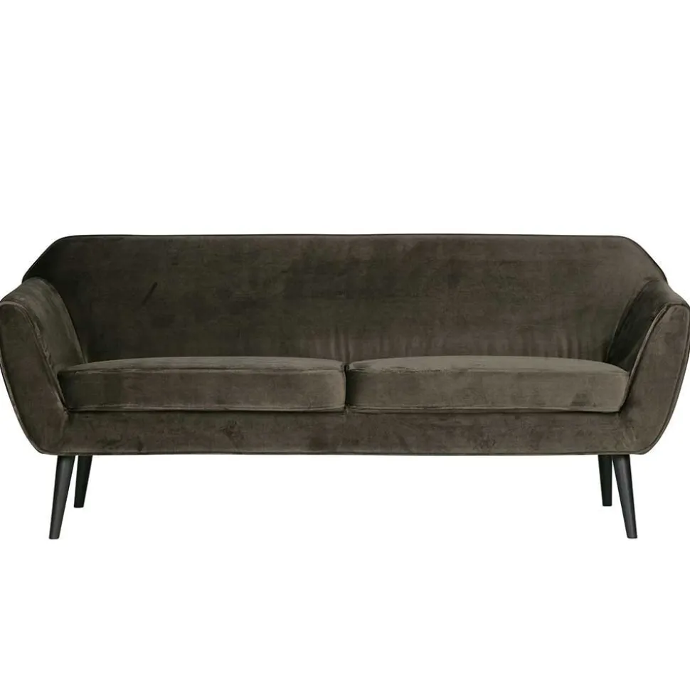 Couch Adamsa