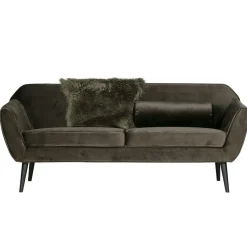 Couch Adamsa