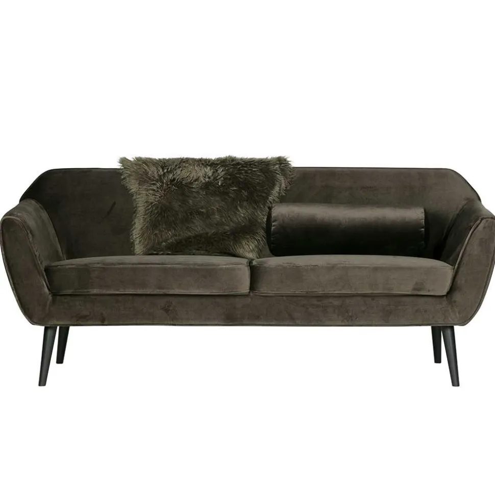 Couch Adamsa