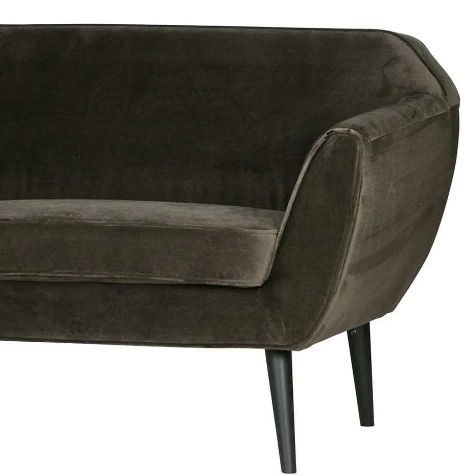 Couch Adamsa