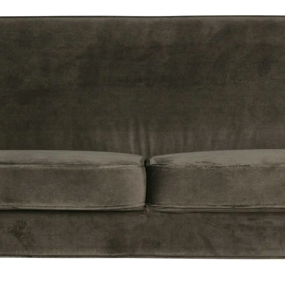 Couch Adamsa