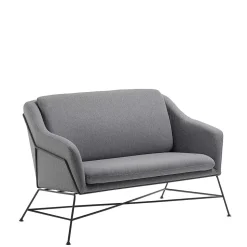 Couch Barney