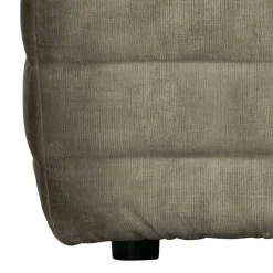 Couchhocker Iliopona