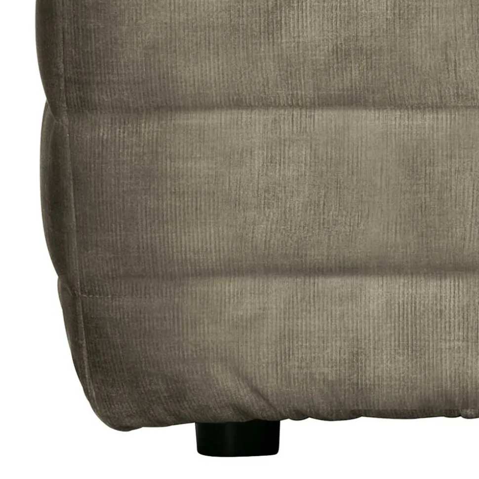 Couchhocker Iliopona