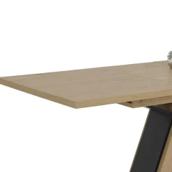 Design Esszimmer Tisch Diazaja