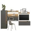 Design Wohnwand mit Schreibtisch Uzniana