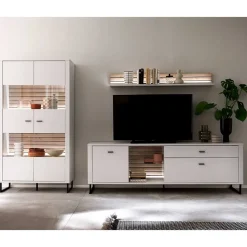 Design Wohnwand Polar