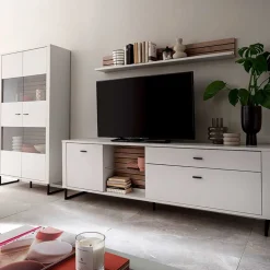 Design Wohnwand Polar