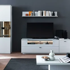 Designwohnwand Barat