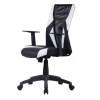 Ergonomischer Bürostuhl Allaire