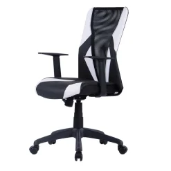 Ergonomischer Bürostuhl Allaire