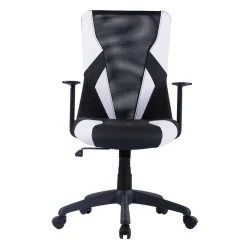 Ergonomischer Bürostuhl Allaire