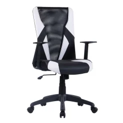 Ergonomischer Bürostuhl Allaire