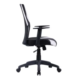 Ergonomischer Bürostuhl Allaire