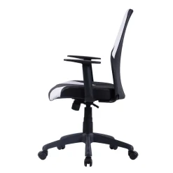 Ergonomischer Bürostuhl Allaire