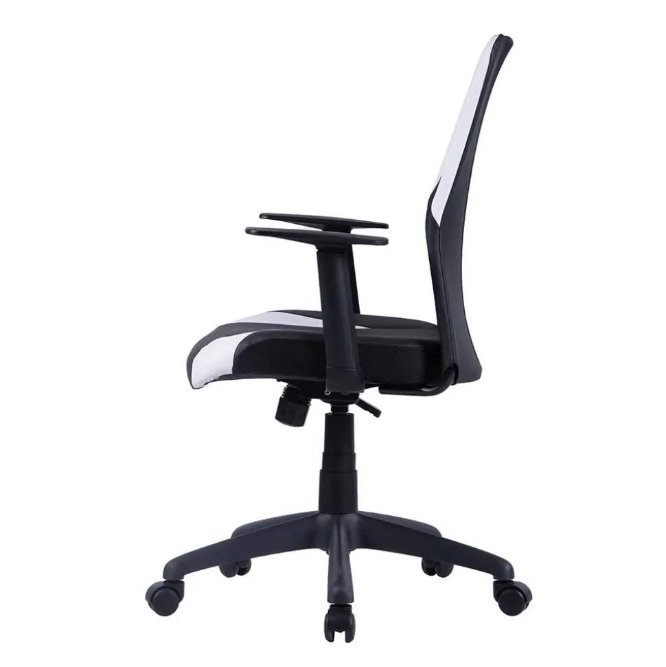 Ergonomischer Bürostuhl Allaire