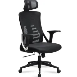 Ergonomischer Bürostuhl Bihar