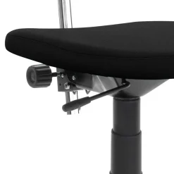 Ergonomischer Bürostuhl Carismata