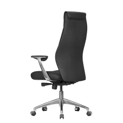 Ergonomischer Bürostuhl Rianostra