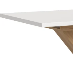 Esstisch modern Javolena