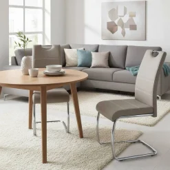Esszimmer Freischwinger Dredali