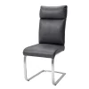 Esszimmer Freischwinger Kanaro