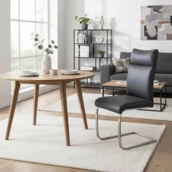 Esszimmer Freischwinger Kanaro