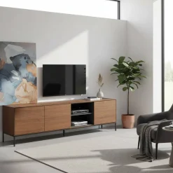 Fernsehboard Pleanos