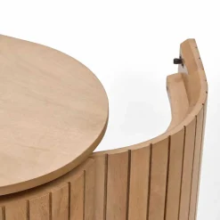 Fernsehlowboard Firessa
