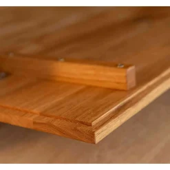 Fernsehlowboard Rusaly