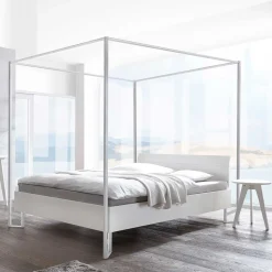 Himmelbett Surius