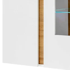 Hängevitrine Franvos