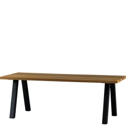 In- und Outdoor Tisch Ginko