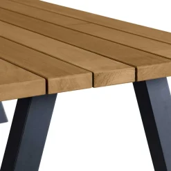 In- und Outdoor Tisch Ginko
