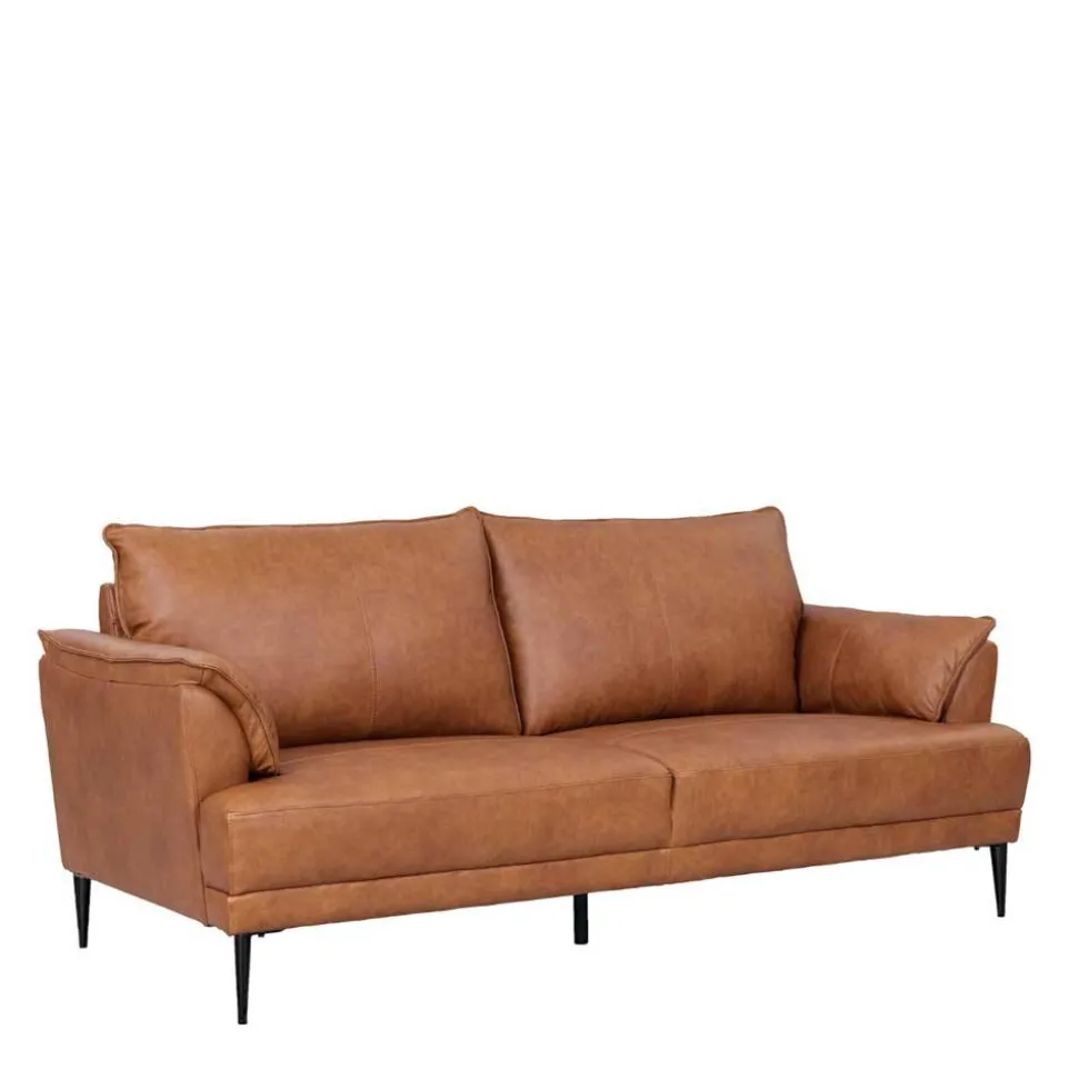 Ledersofa Basilicama