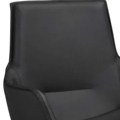 Lederstühle Porian