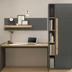 Moderne Bürokombination Uzniana