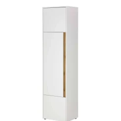 Moderner Officeschrank Rascian