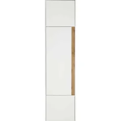 Moderner Officeschrank Rascian