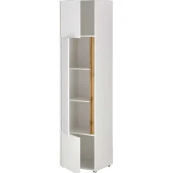 Moderner Officeschrank Rascian