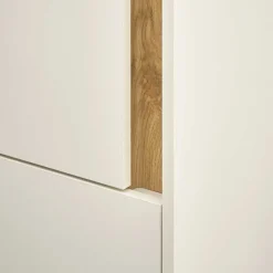 Moderner Officeschrank Rascian