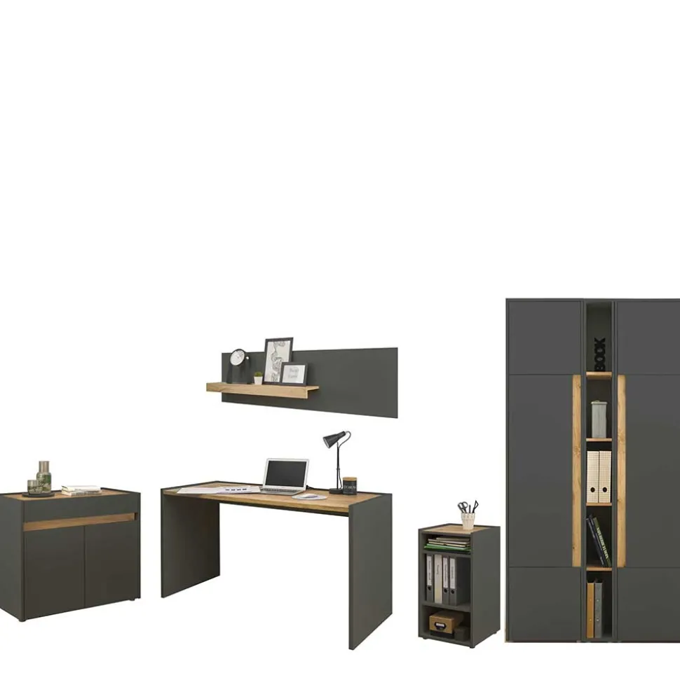 Modernes Arbeitszimmer Uzniana