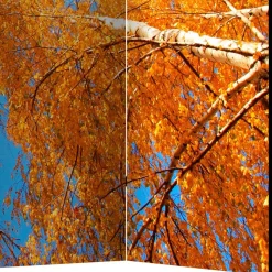 Paravent Duben