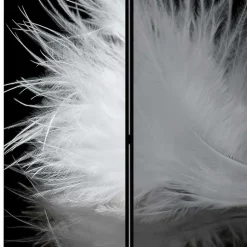 Paravent Raumtrenner Salzburg