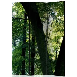 Paravent Wald Samsia