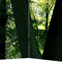 Paravent Wald Samsia