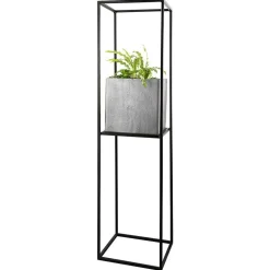 Pflanzensäule Centauro